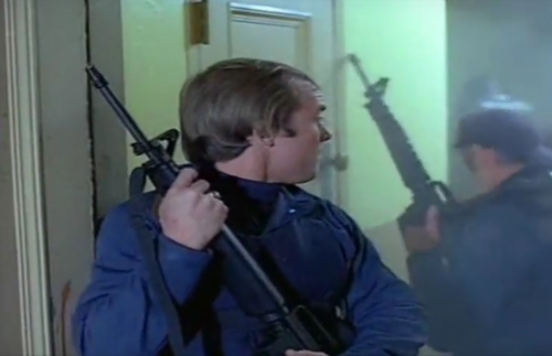 dawn of the dead swat