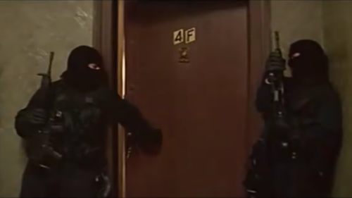 the professional