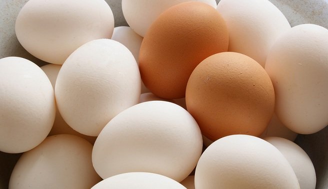 Click to enlarge eggs