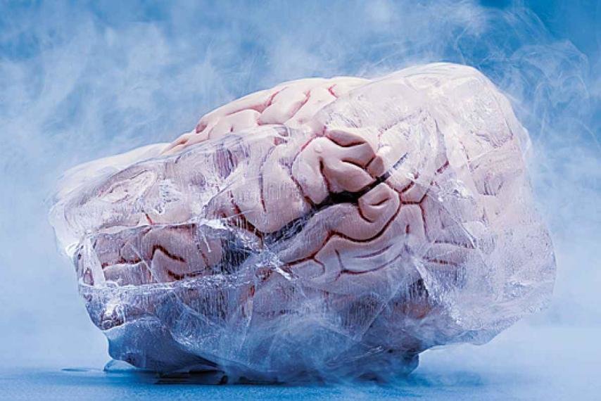 Click to enlarge frozen brain