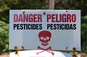 zika virus pesticides pollution monsanto