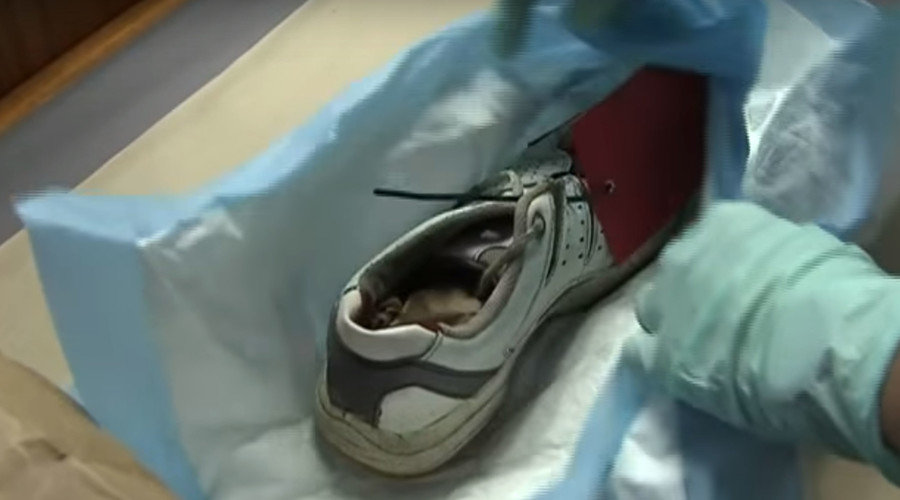 Shoe