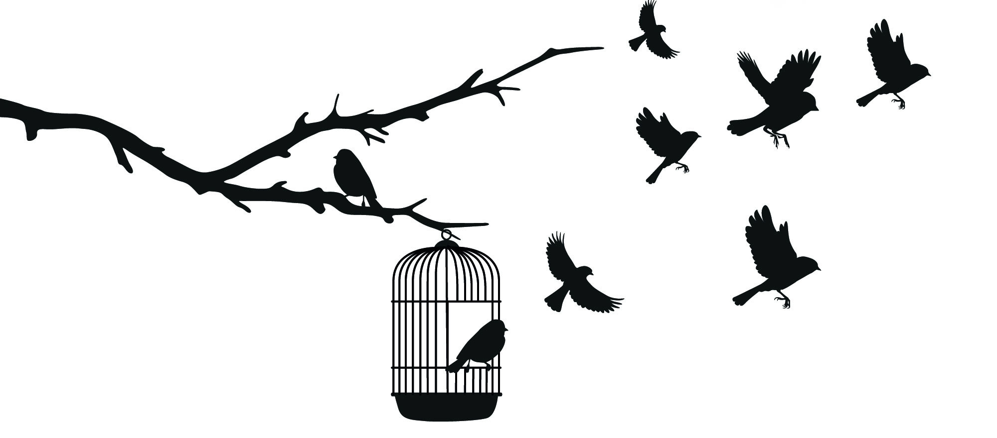Knowledge freed from a cage