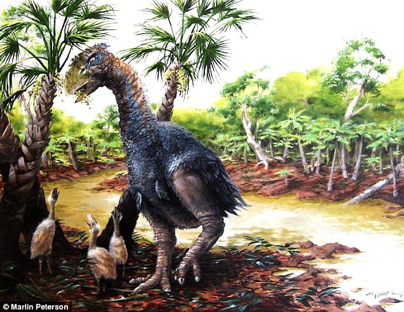 Click to enlarge bigbird