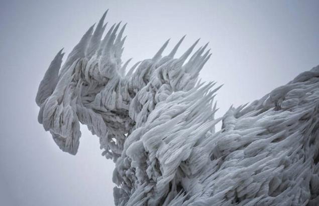  tree is exposed to minus 114 degrees wind chill at Whiteface Mountain's summit.