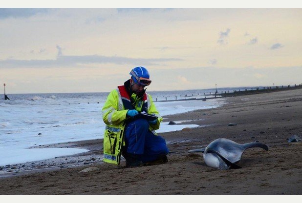 A Hornsea Coastguard officer with the dolphin.
