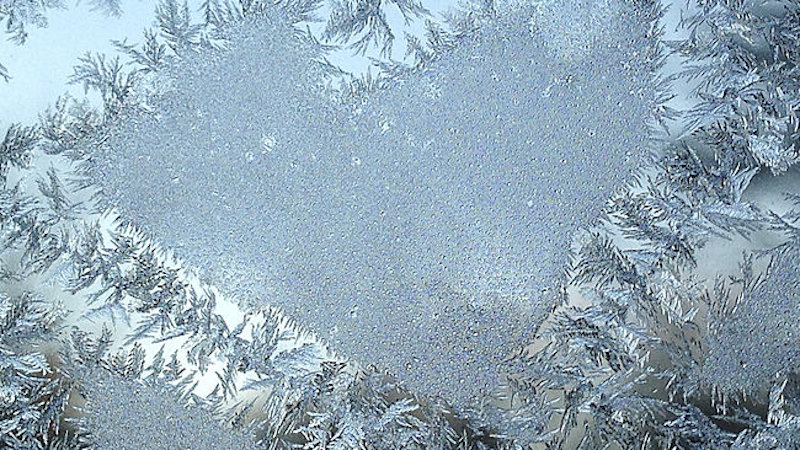 polar vortex