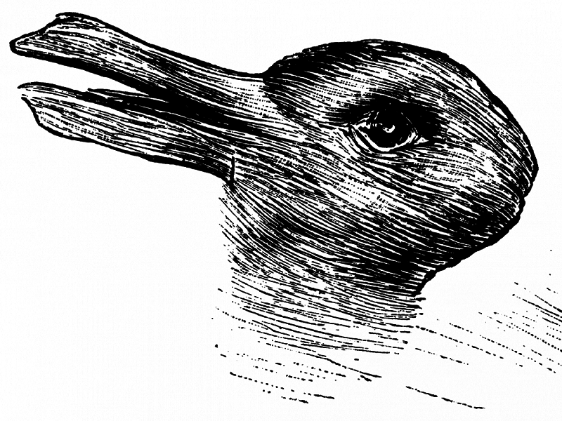 Duck or a rabbit
