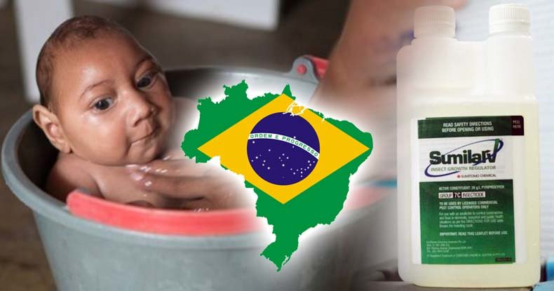 microcephaly pesticides