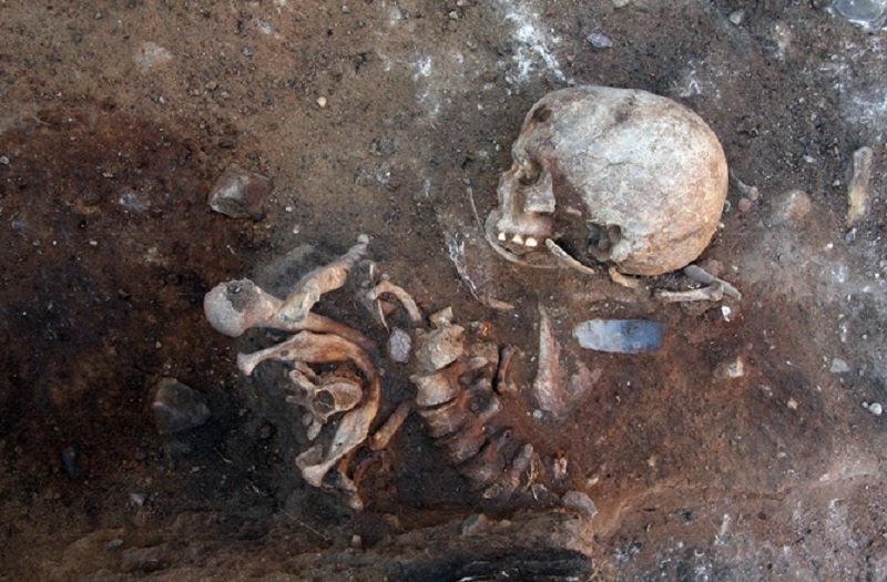 Ancient Skeleton