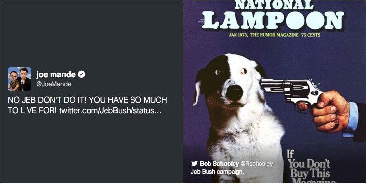 Click to enlarge bush tweet