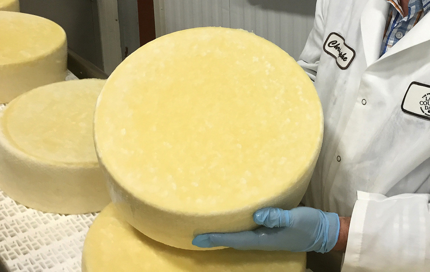 Click to enlarge cheese maker