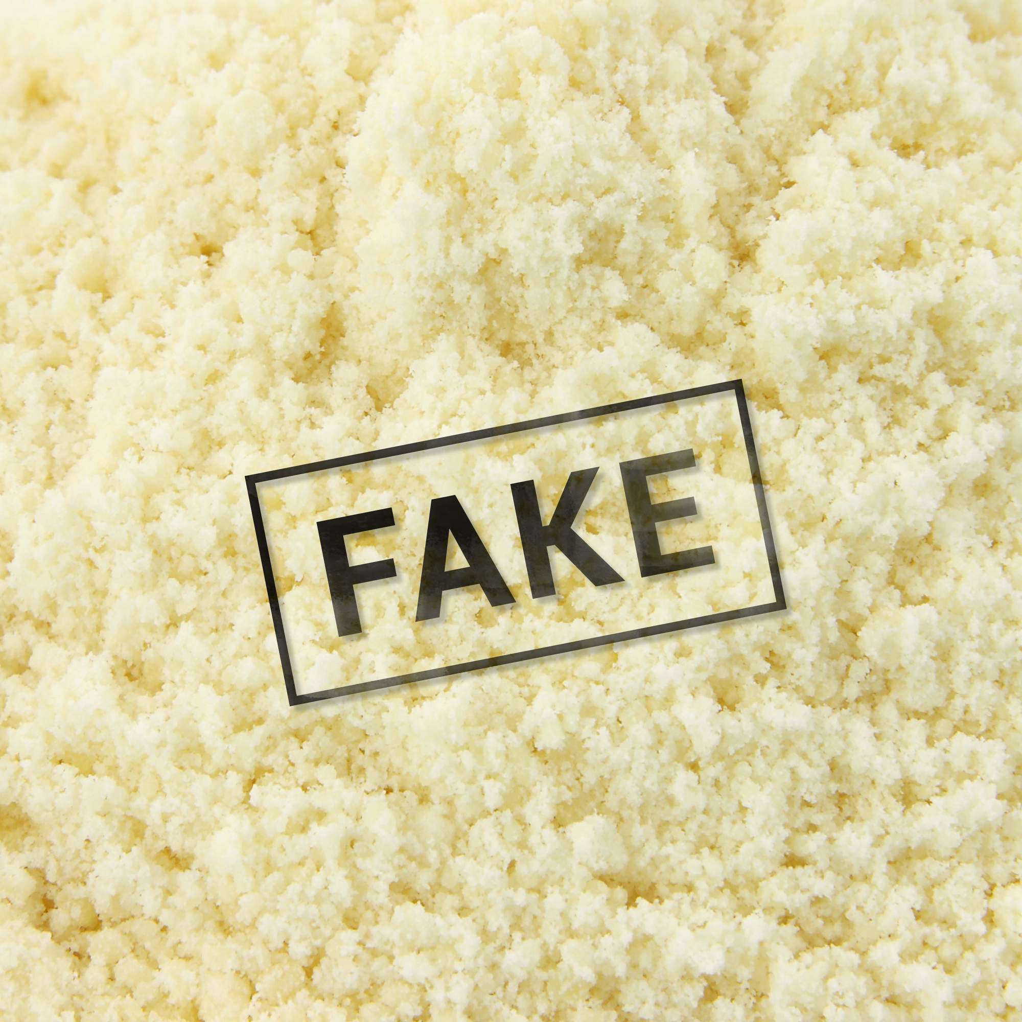 Fake Parmesan cheese