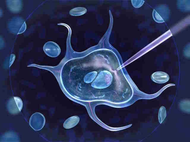 genetic engineering