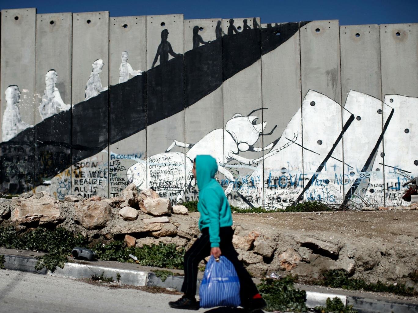 Palestinian boy