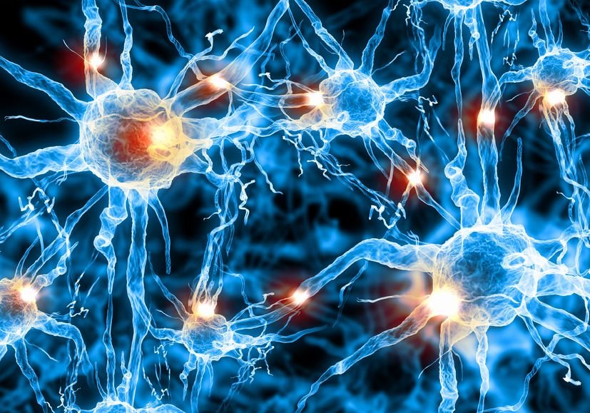 Click to enlarge probiotics