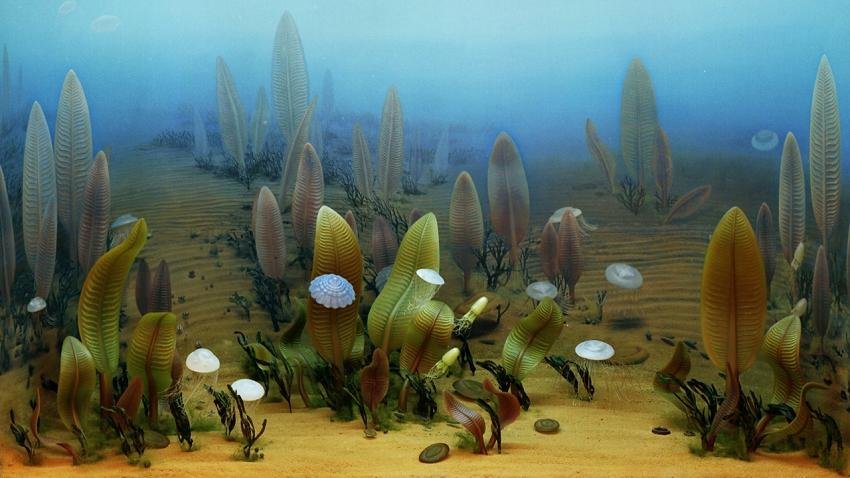 underwater creatures