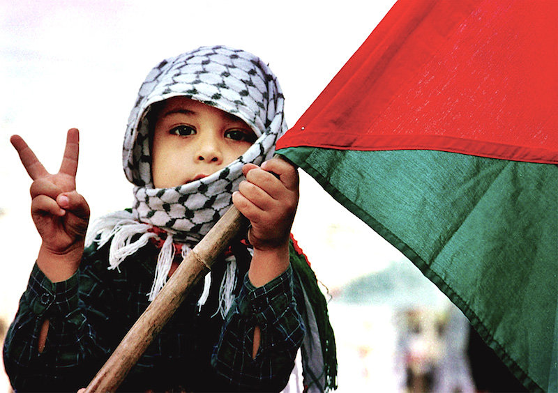 child and flag