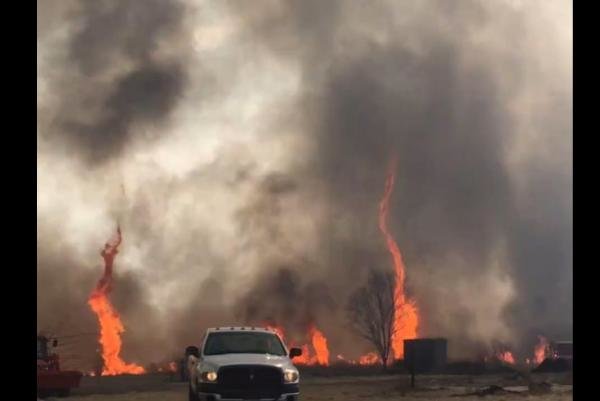 firenado