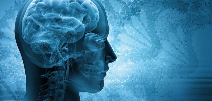 Click to enlarge Brain scan