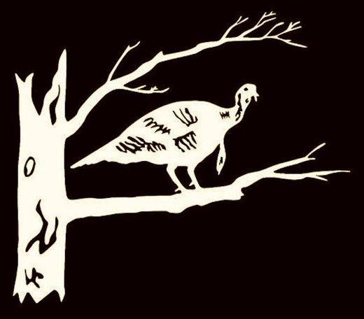Click to enlarge turkey on limb