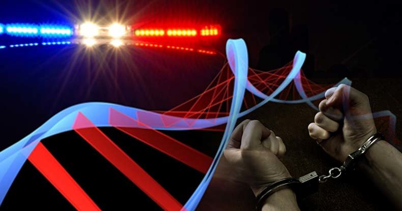 DNA arrest