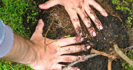 Hands in dirt