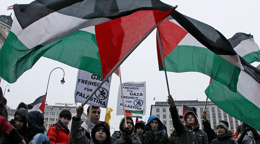 Pro-palestinian protesters