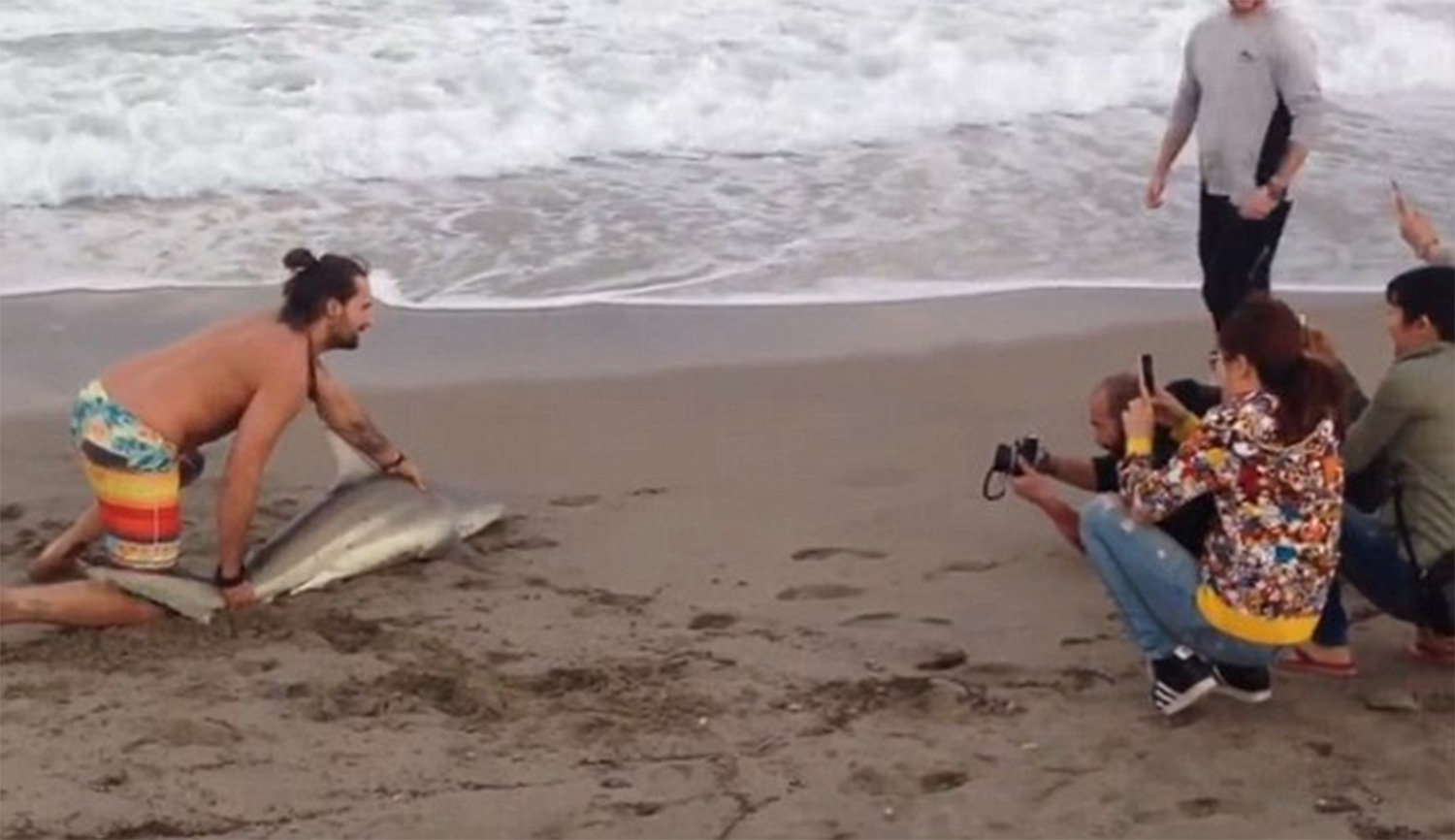 Click to enlarge man selfie shark