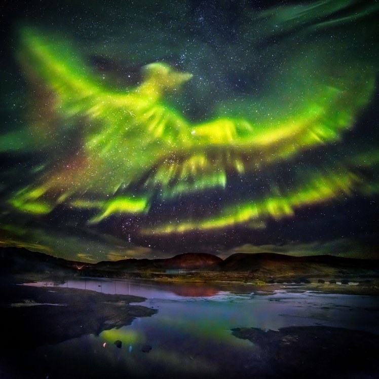 northern lights phoenix