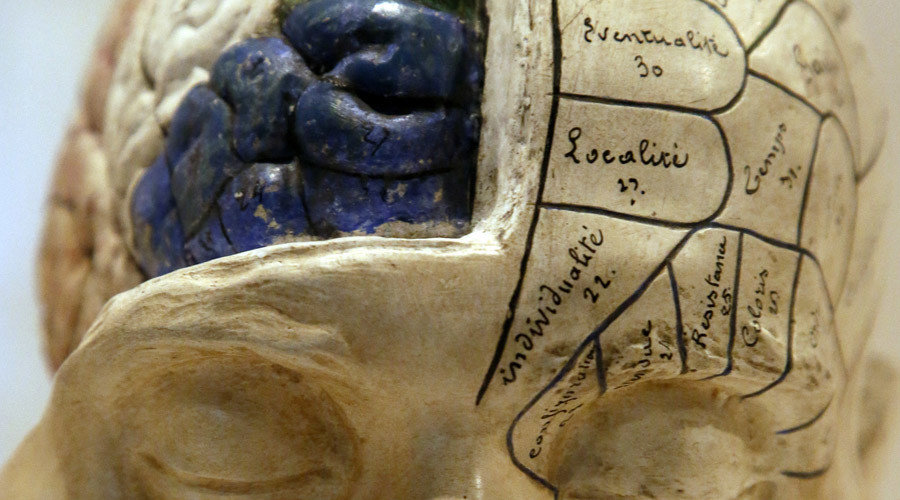 Click to enlarge Brain