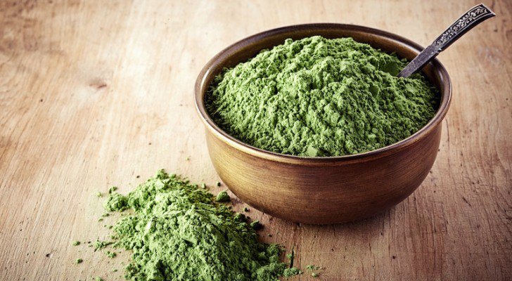 Chlorella