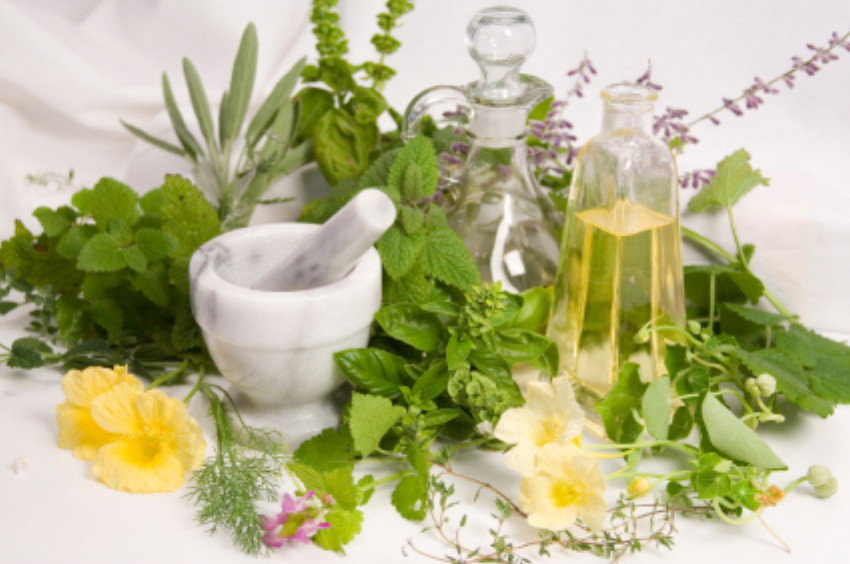 Click to enlarge herbs