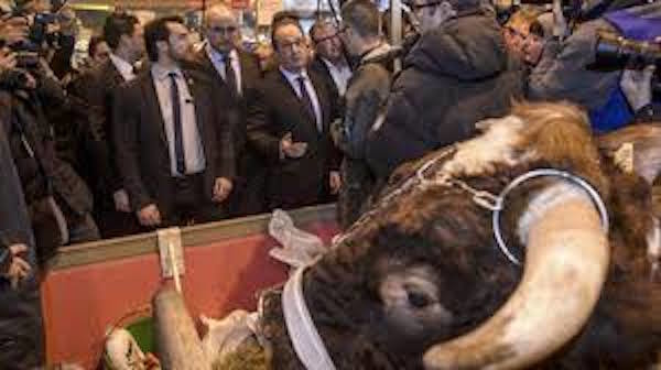 paris agriculture fair