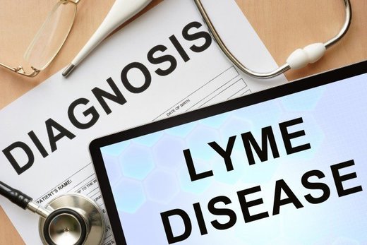 lyme disease