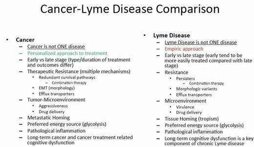 lyme disease