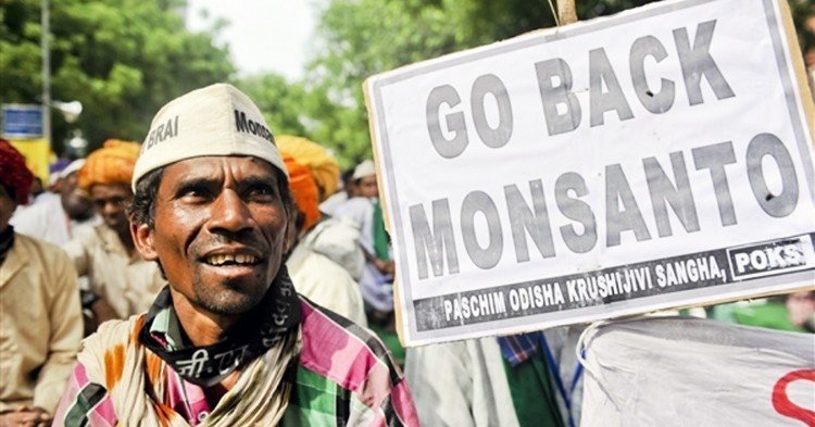 Go Back Monsanto