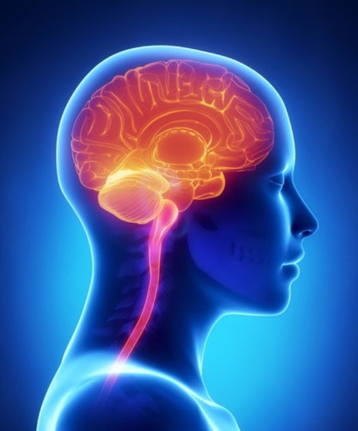 Blood Brain Barrier