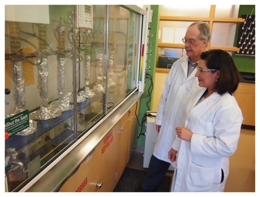 Ronald Hites and Amina Salamova