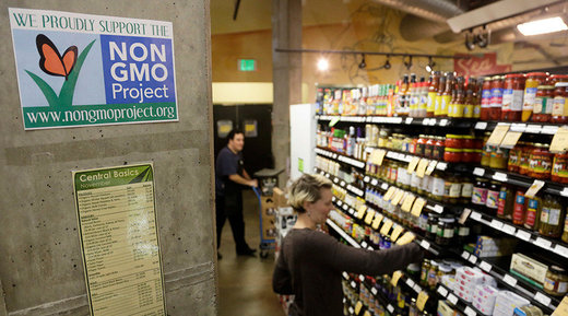 GMOs