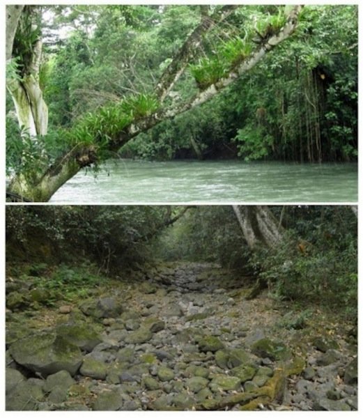 Atoyac river bed
