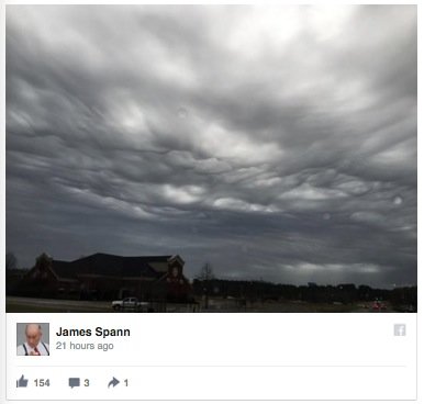 Undulatus asperatus