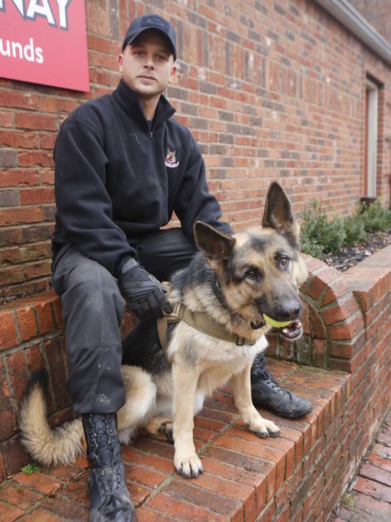 k9 police dog