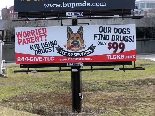 Click to enlarge k9 drug sniffing dogs
