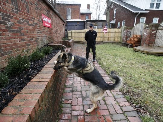 Click to enlarge K9 Service