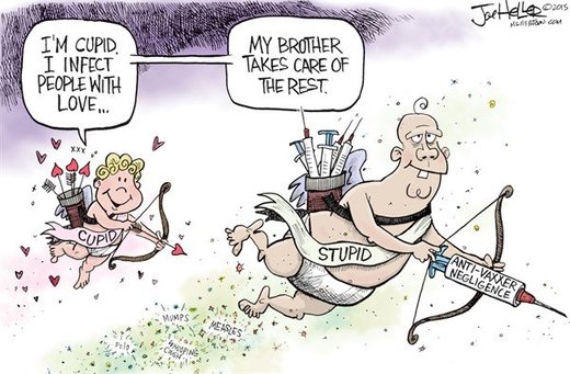 Click to enlarge Stupidity
