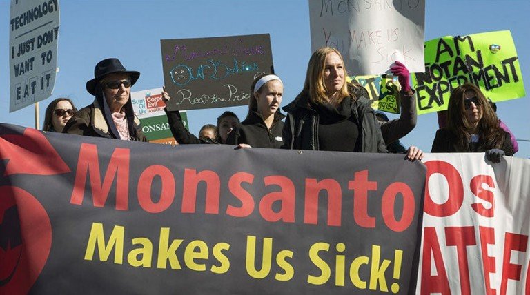 Click to enlarge Monsanto