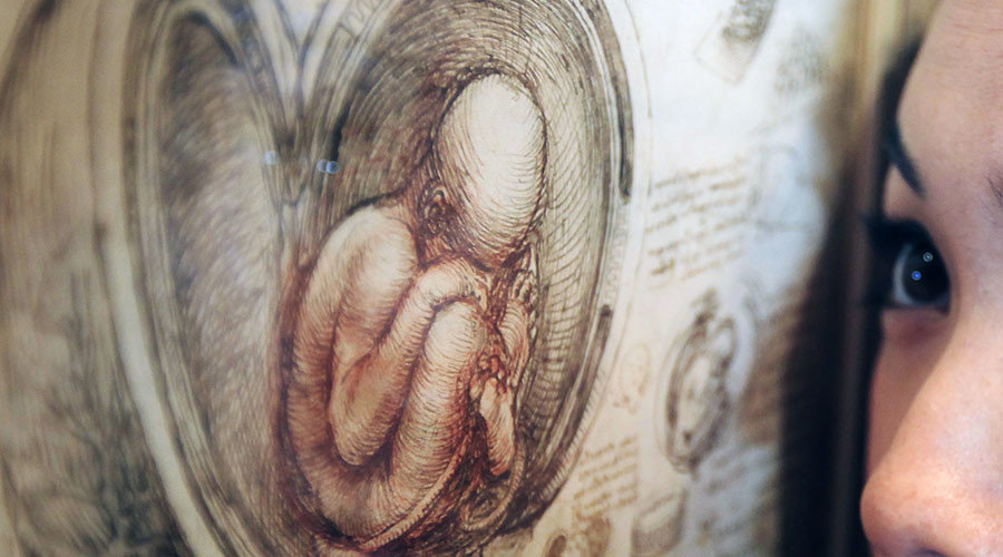 baby in womb