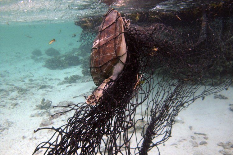 scuba trash