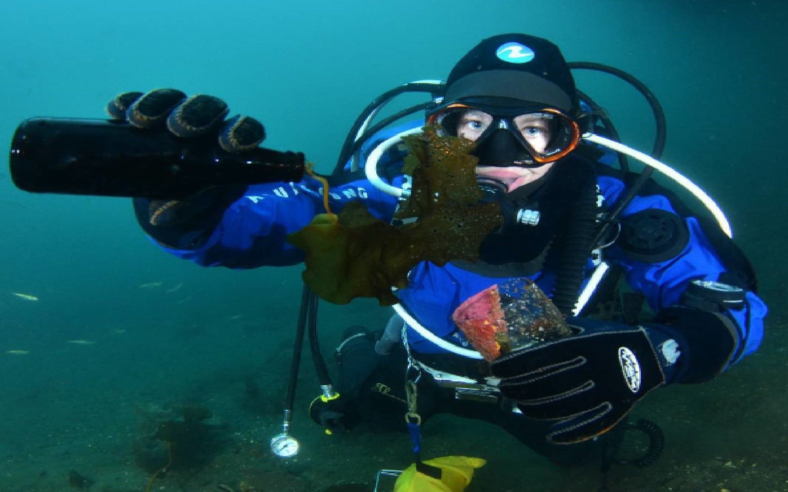 scuba clean up